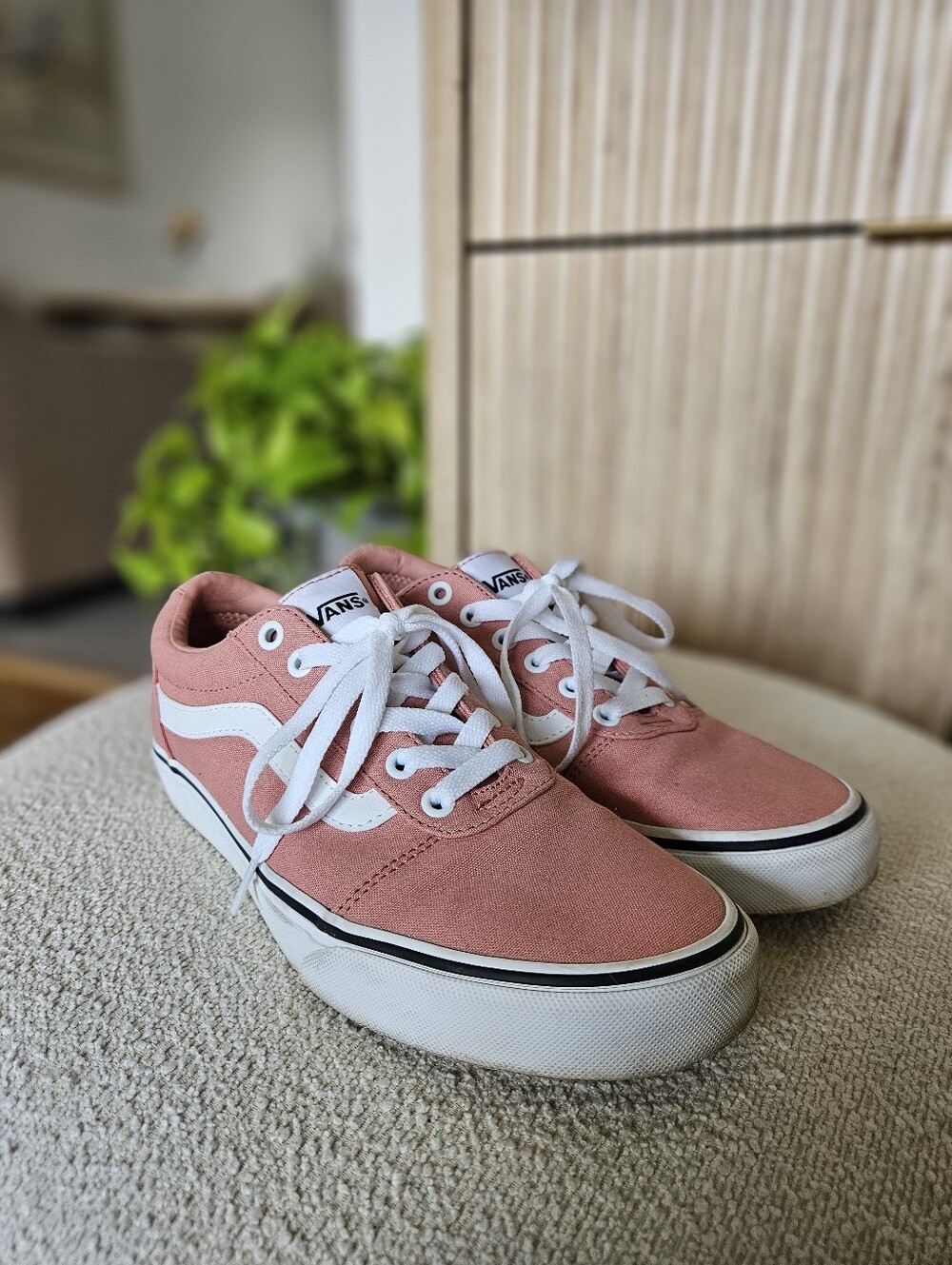 Vans Seldan Sneaker - Women's 8.5